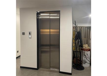 湖濱美院-別墅電梯